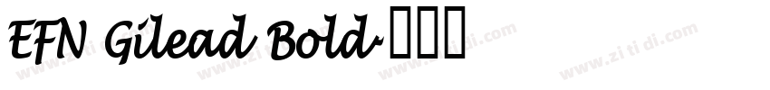 EFN Gilead Bold字体转换